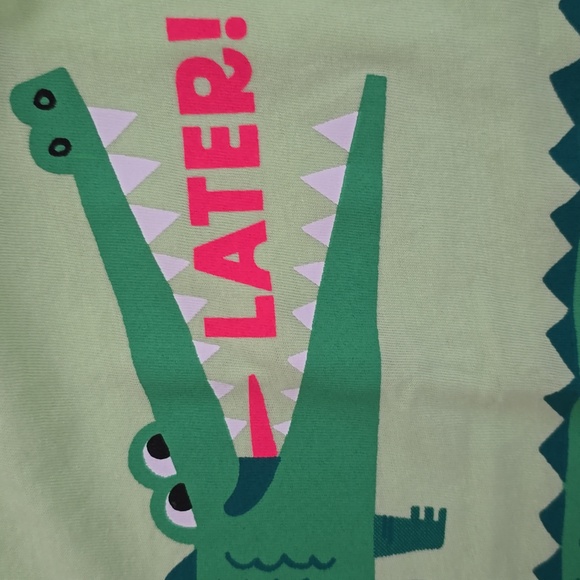 JUMPING BEANS TODDLER BOYS SHORT SLEEVES TEE-SHIRTS BUNDLE OF 2 SIZE 4T - Picture 9 of 9